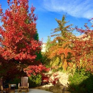 Meet your Posher, Jella